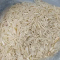 فروش حبوبات