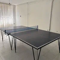 میز پینگ پنگ