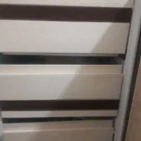 فریزر آسکوت آمریکایی