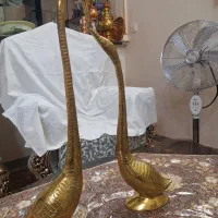 دلفین بزرگ وزیبا و یک جفت قو ع عاشق وجا میوی شیک
