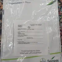 بذر خیار سیمنس