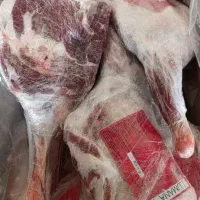 پروتئین گوشت منجمدسوسیس کالباس .پنیرپیتزا