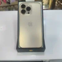 13PRO