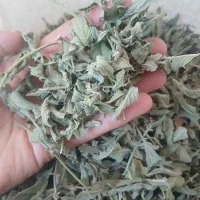 پونه برگ