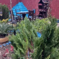 خونه باغ|فروش خانه و ویلا|رشت, حومه رشت|دیوار