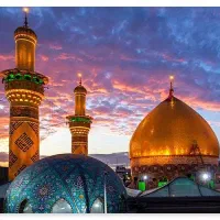 بلیط هواپیما (ایام محرم )