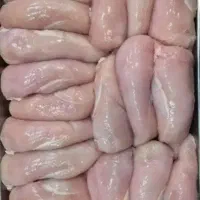 پخش عمده مرغ گرم کشتار روز