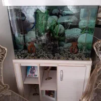 اکواریوم