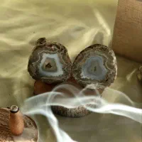 کلکسیونی