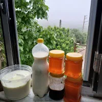 عسل طبیعی وحشی لبنیات گردو باغی ترشی انار فروشی