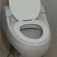 توالت فرنگی