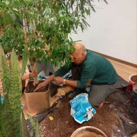 کلیه کارهای باغبانی وسمپاشی گل وگیاه