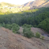 باغ-در-روستای-یاس-چاه