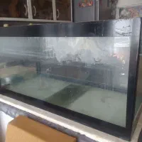 اکواریوم