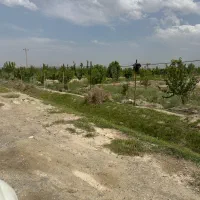 زمین-دوهزارمتر-سنددار-پیشرفت-بینظیر-تضمینی-اقساط