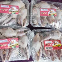 بلدرچین گوشتی پرکنده بسته بندی 5 عددی