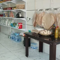 پروتئینی ایلیا واقع در گرشاسبی ۴۴