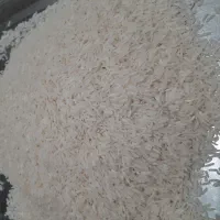 برنج ندا ۲۸۰ امساله درجه یک