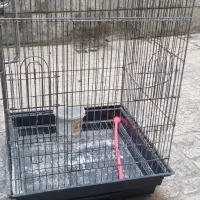 قفس بزرگ کاسکو