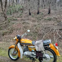 یاماها ۱۲۵|موتورسیکلت|رشت, بازار|دیوار