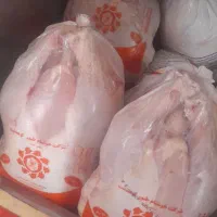 مرغ خوشنام فقط ۲۹۷ارزانترازهمه جا