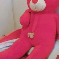 خرس عروسکی