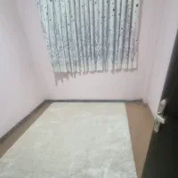 موکت پرز بلند ظریف ( شگی)