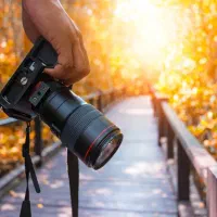 دعوت به کار آتلیه و چاپخانه