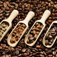 فروش دان قهوه کلی و جزئی وفروش انواع دستگاه آسیاب