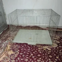 باقفس پرنده بزرگ