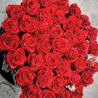 رز تو|گل مصنوعی|قم, نیروگاه|دیوار