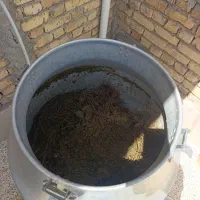 عرق آویشن