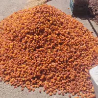 کشک و....