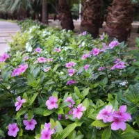 فروش-یک-هکتارباغ-ویلا-دربهترین-لوکیشن-مهرشهر-چمن