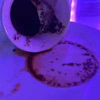 از اینده خود با خبر باشید