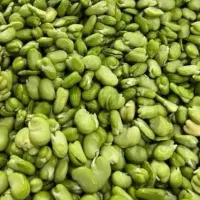 باقالی تازه،بادمجان و کدو سرخ کرده،هویج نگینی