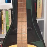 گیتار آلمریا c110