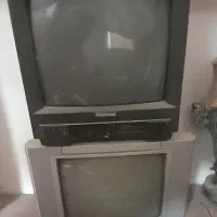 تلویزیون