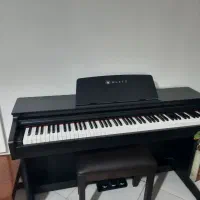 پیانو بیلیتز ۳۱۰