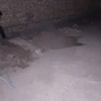 نظافت منزل اساس کشی انجام میدم