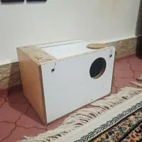 لانه عروس هلندی