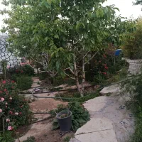 فروش باغ شهری با چهل نوع پوشش گیاهی زیبا ومتنوع