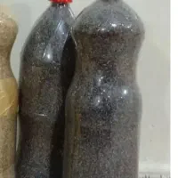 بذر درجه یک
