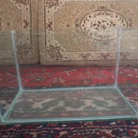 اکواریوم
