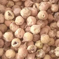 انجیر بش ارگانیک