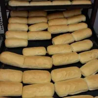 به یک فر بان نیاز مندیم