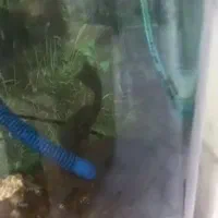 لوازم اکواریوم