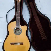 سلام.یکعددگیتار در حد نو سلامت .