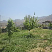 باغچه|فروش زمین و ملک کلنگی|طالقان, |دیوار