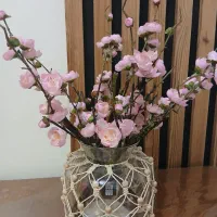 گل شکوفه ژاپنی